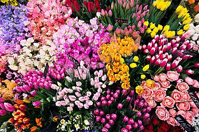 《猎杀：对决》新总监上任 进行诸多改动增强体验