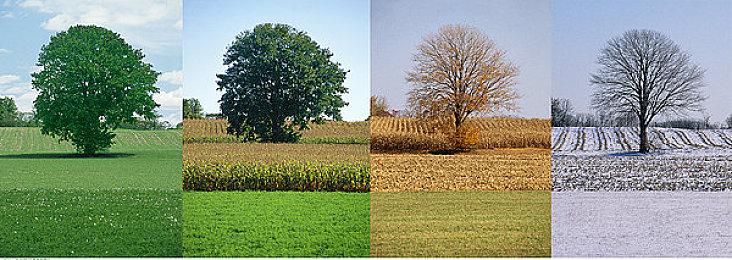 《SUIKAWA LEAD》Steam上线 创意声控动作解谜