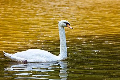 《铁拳8》包含每代主线游戏剧情梗概 新细节揭晓