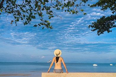 卡牌游戏《展翅翱翔》欧洲篇DLC预告公布 今年Q2发售