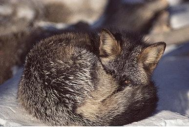 KK对战平台RPG地图淘金计划震撼开启  《爆战兄弟》三大活动瓜分现金大奖